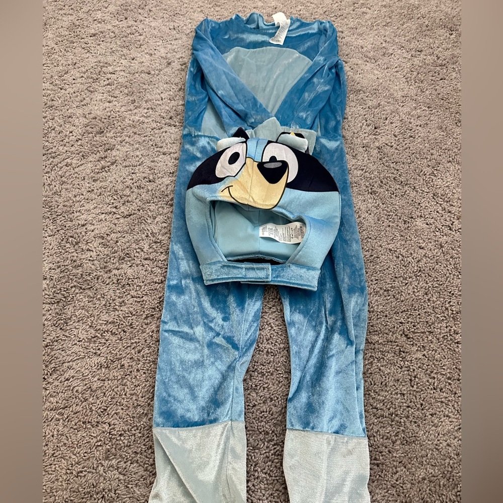Bluey costume